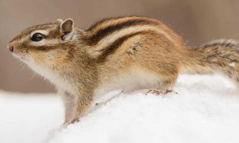 资兴市一条龙装饰股份公司轮播图3