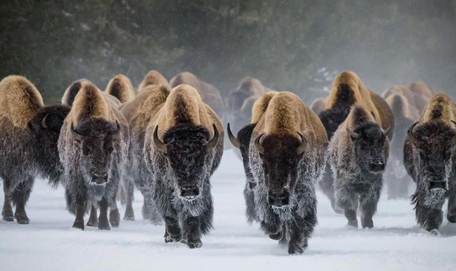 资兴市一条龙装饰股份公司轮播图2