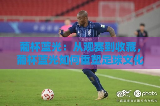 葡杯蓝光：从观赛到收藏，葡杯蓝光如何重塑足球文化体验？葡杯蓝光背后的技术温度🕋最全手机信誉押球网水位精彩片段流畅代理1080P官网
