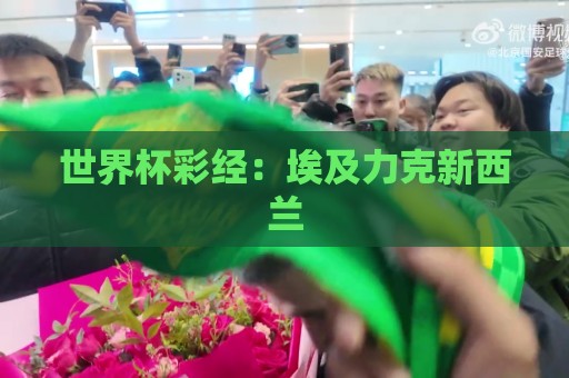 世界杯彩经:埃及力克新西兰 世界杯彩经:埃及力克新西兰