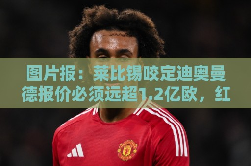 图片报:莱比锡咬定迪奥曼德报价必须远超1.2亿欧,红军巴黎有意 图片报:莱比锡咬定迪奥曼德报价必须远超1.2亿欧,红军巴黎有意