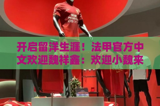 开启留洋生涯！法甲官方中文欢迎魏祥鑫：欢迎小魏来到法甲！
