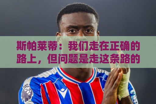 斯帕莱蒂：我们走在正确的路上，但问题是走这条路的方式必须改变