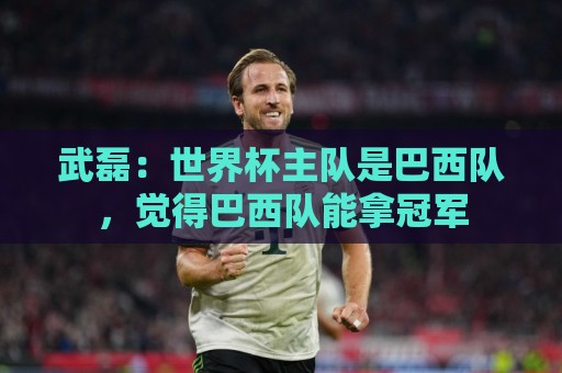 武磊：世界杯主队是巴西队，觉得巴西队能拿冠军