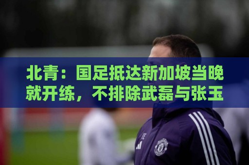 北青：国足抵达新加坡当晚就开练，不排除武磊与张玉宁搭档锋线
